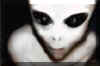 alien1.jpg (35988 bytes)