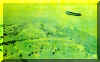 ufo64.jpg (29706 bytes)