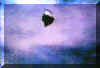 ufo_16a.jpg (8282 bytes)