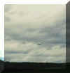 ufo_19a.jpg (48685 bytes)