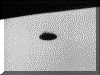 CALIF 1965-6.gif (31059 bytes)