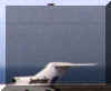 airport.jpg (21443 bytes)