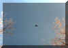 ufo1.jpg (6068 bytes)